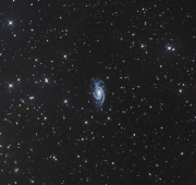 NGC4939