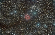 IC5146 Cocoon Nebulae