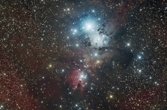 NGC2264 Cone Foxfire Christmas tree cluster
